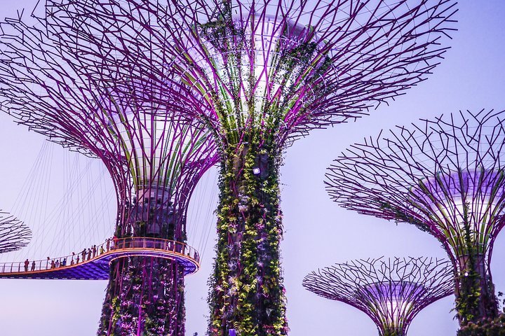 2024 Gardens By The Bay Double Conservatories Including Private   Caption 