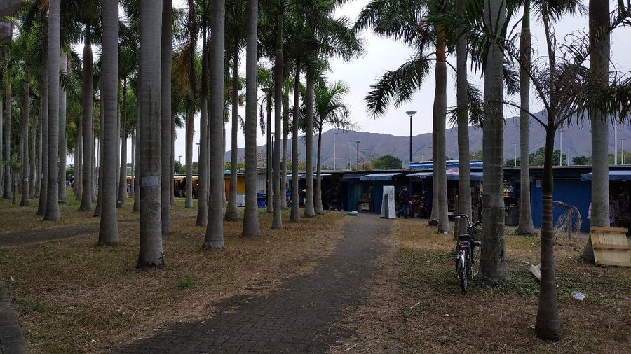 錦上路跳蚤市場