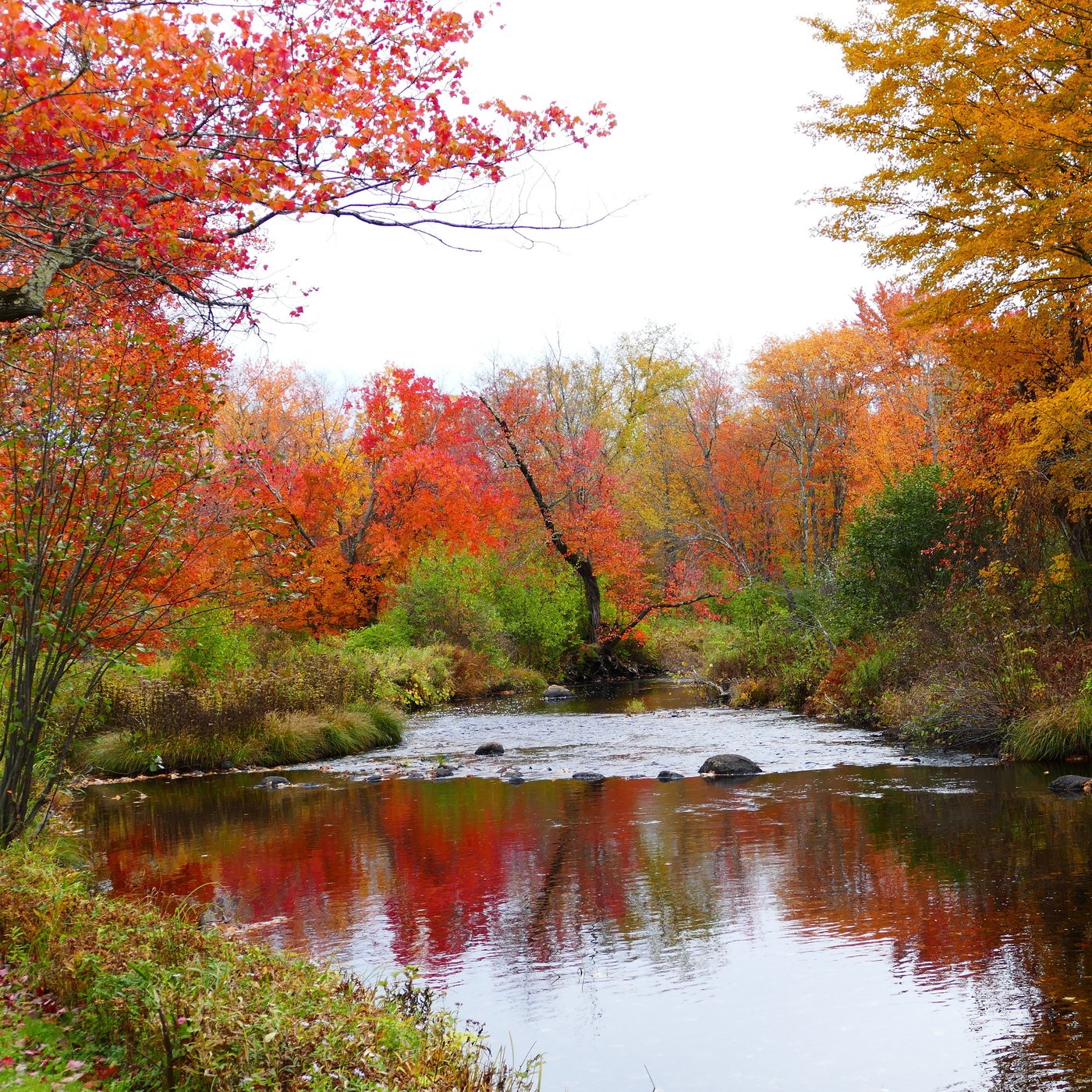 Little River Bed & Breakfast by null