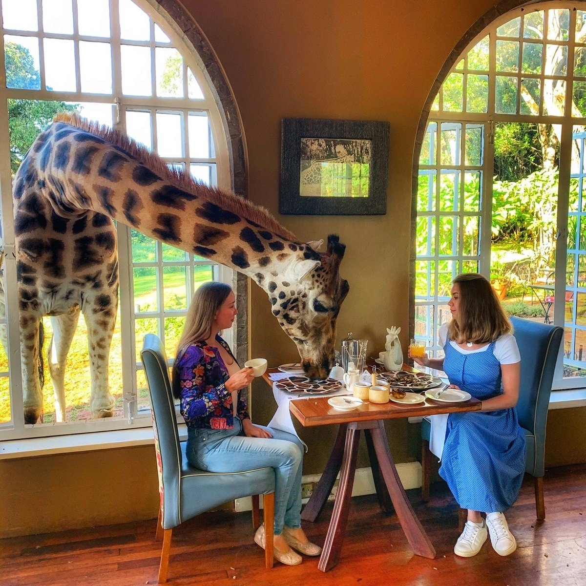 GIRAFFE MANOR (Кения/Найроби) - отзывы и фото - Tripadvisor