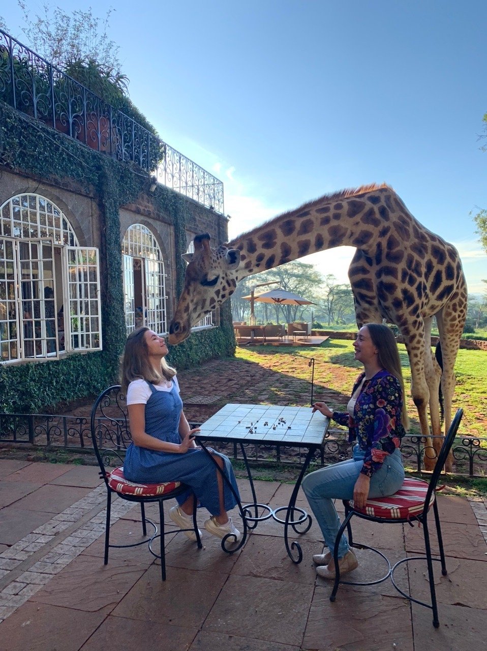 GIRAFFE MANOR (Кения/Найроби) - отзывы и фото - Tripadvisor