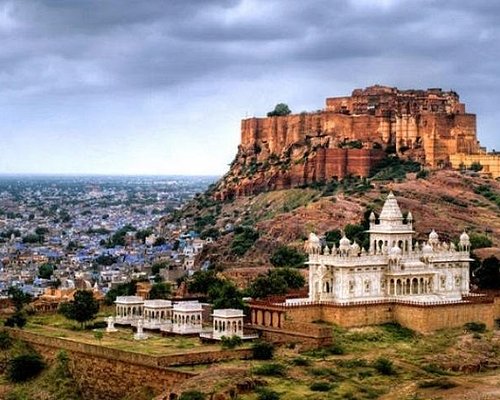 jodhpur camel safari day tours