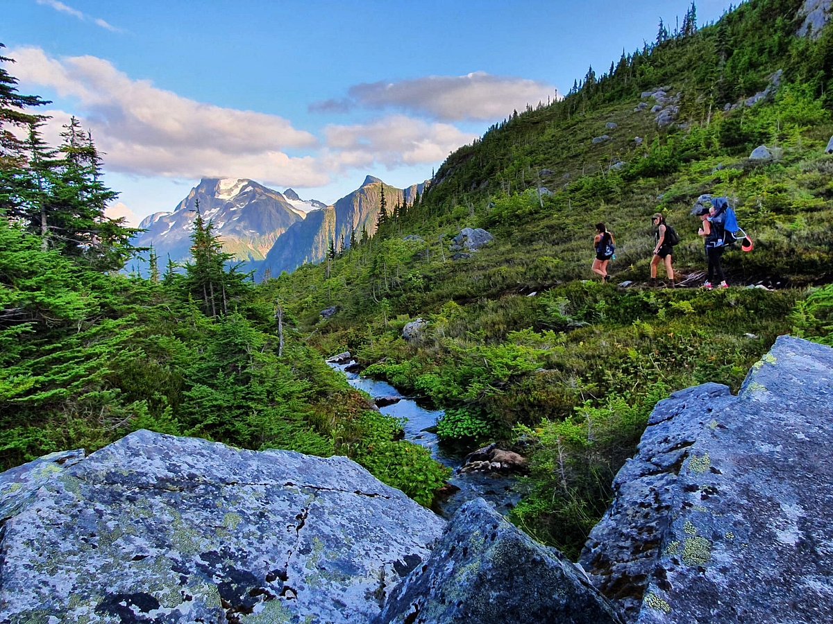 Grizzlies of Bella Coola — Grandview Chalet Bed & Breakfast