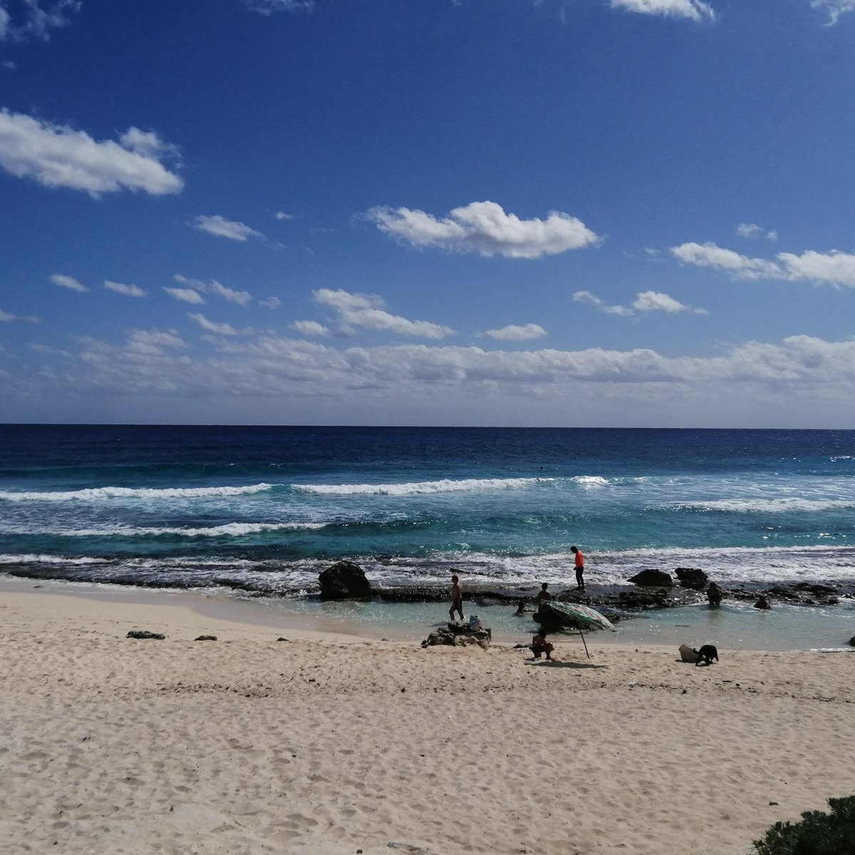 ADVENTOURS BY TAXI COZUMEL - 2023 Qué SABER antes de ir