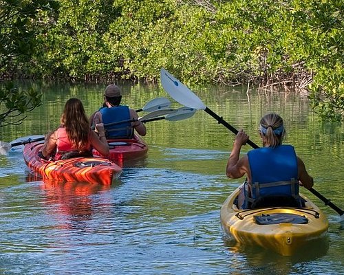 lazy dog kayak tour key west