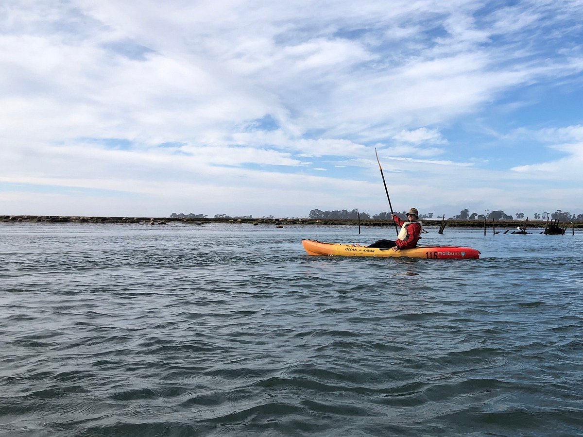 MONTEREY BAY KAYAKS - Monterey Bay Kayaks, Kayak and Standup Paddleboards  Rentals, Guided Tours, Classes on Monterey Bay and Elkhorn Slough in Moss  Landing California