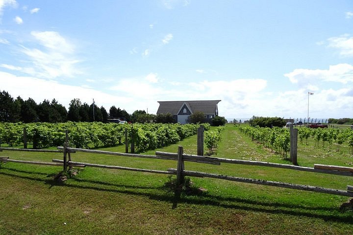 tasting tour pei