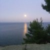 Antonis V