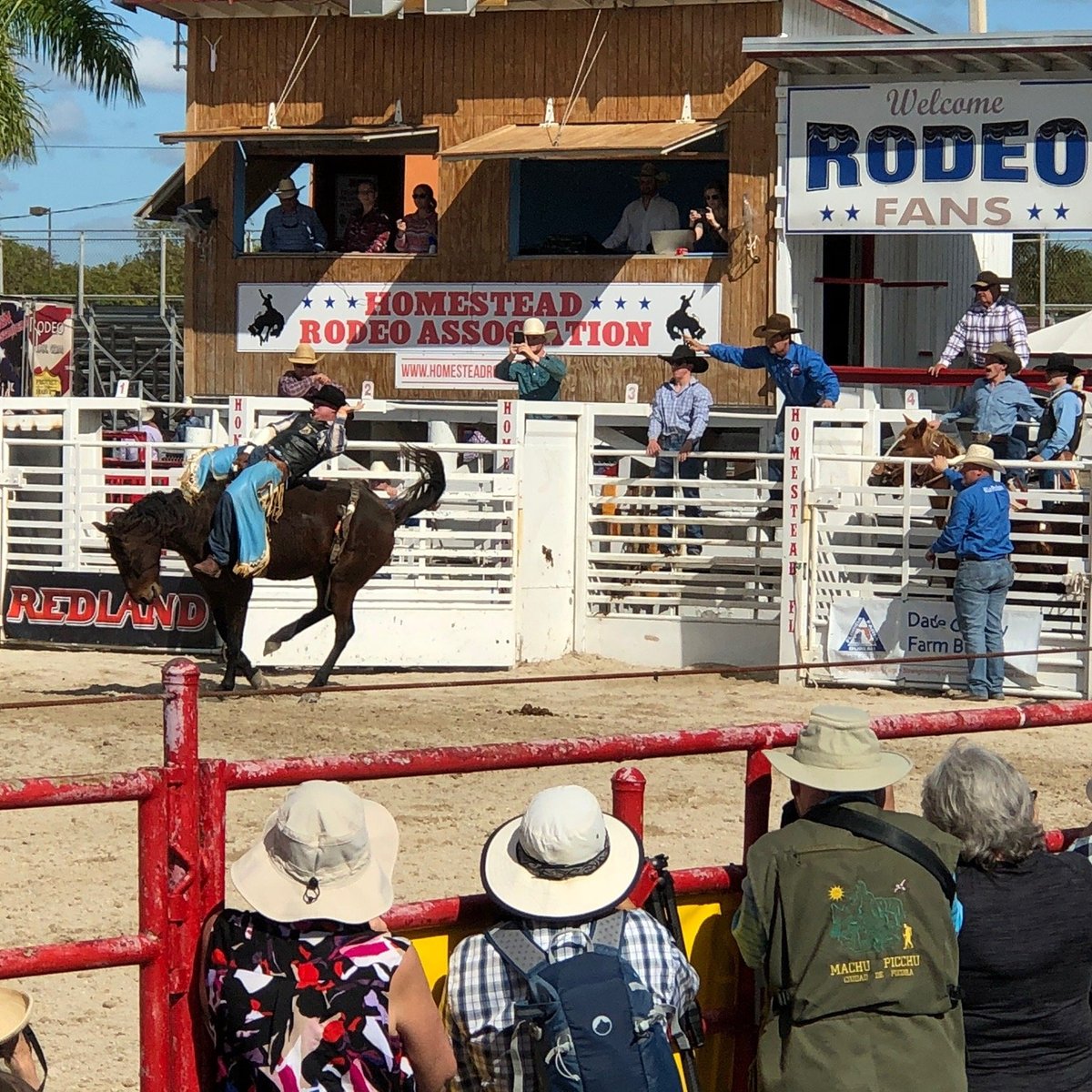 ANNUAL HOMESTEAD CHAMPIONSHIP RODEO Ce qu'il faut savoir