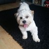 natdoherty