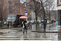 COWGIRL, New York City - Greenwich Village - Photos & Restaurant ...