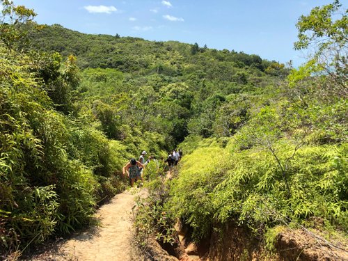 As melhores trilhas em Canhanduba, Santa Catarina (Brasil)