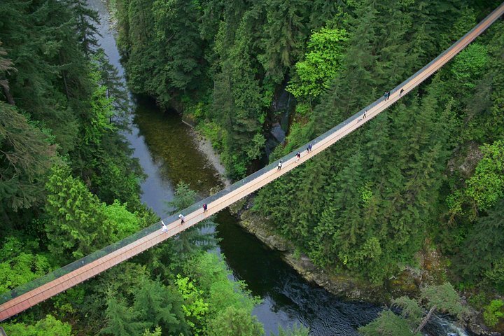 2023 Vancouver City Sightseeing Tour: Capilano Suspension Bridge ...