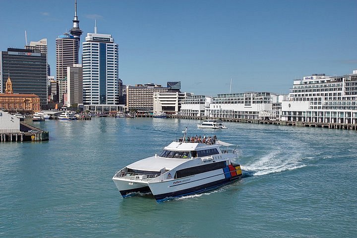 cruises from auckland 2023 december