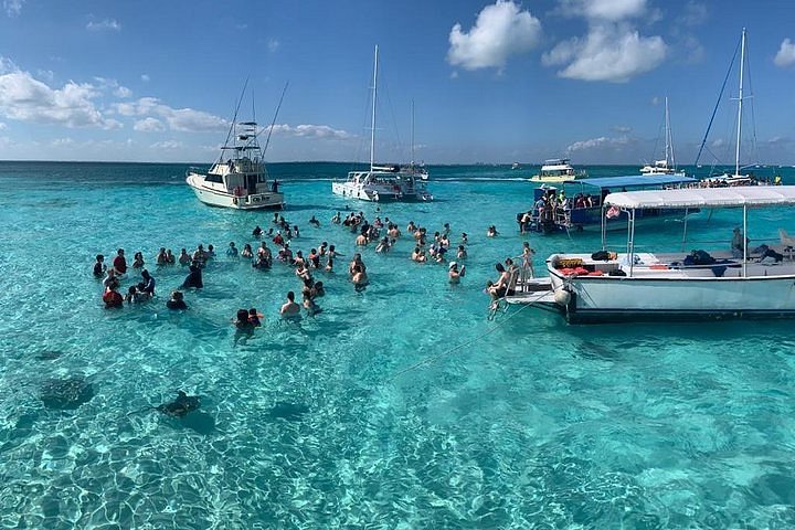 Stingray City Cayman Islands