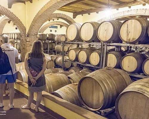 wine tours sicily italy
