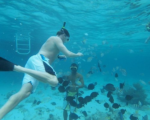 grand cayman excursions