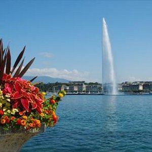 Décoration horticole à Genève: Après l'Horloge fleurie, voici l