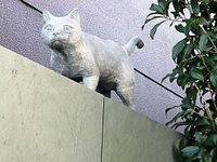 21年 夏目漱石旧居跡 猫の家 行く前に 見どころをチェック トリップアドバイザー