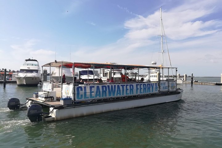 2023 Clearwater Ferry - Purple Line (Clearwater)