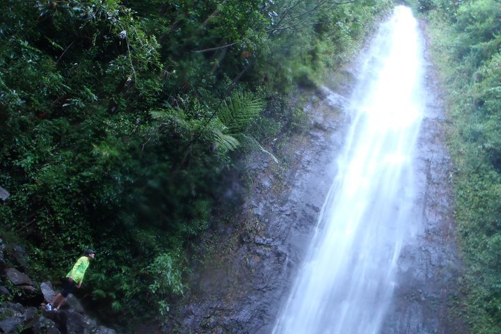 2023 Manoa Waterfalls Hike With Local Guide   Caption 