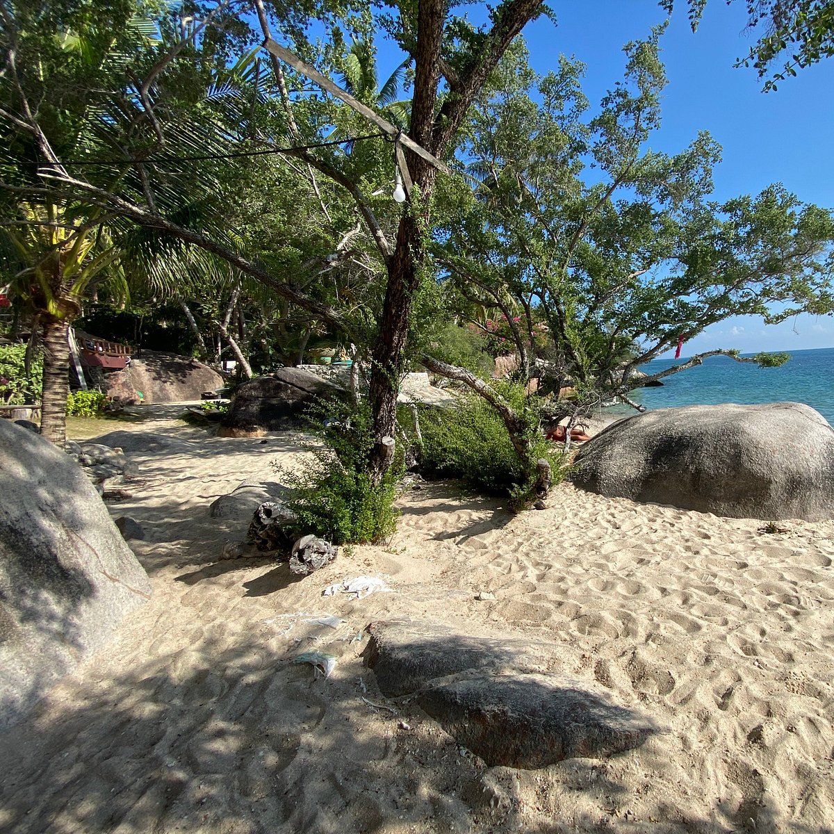 June Juea Bay Koh Tao All You Need To Know Before You Go