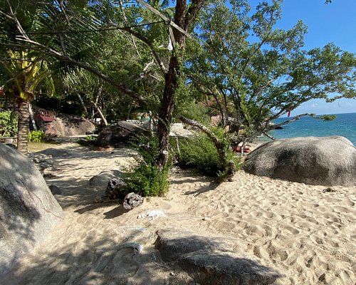 THE 10 BEST Koh Tao Beaches (Updated 2024) - Tripadvisor