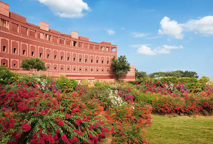 Ludo Cash Winning Game - Top, Best University in Jaipur, Rajasthan