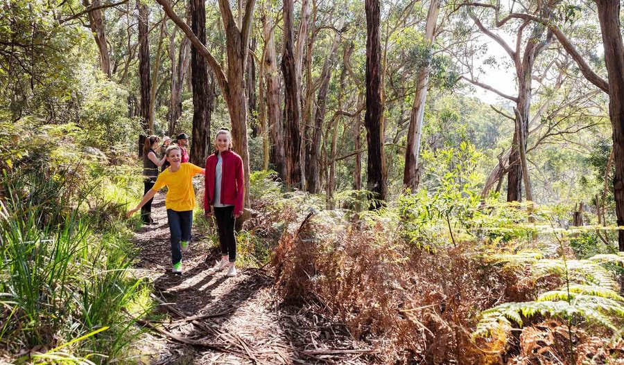 Walking at Mornington Peninsula National Park