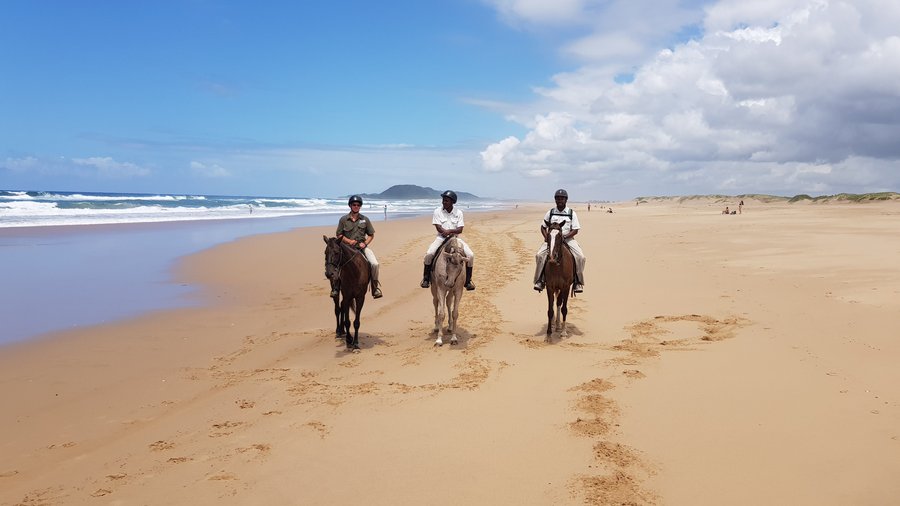 Our guides love nothing more than taking you on a ride in the park or along the beach