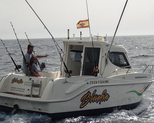 Eden Catamaran Playa De Las Americas Ce Quil Faut Savoir