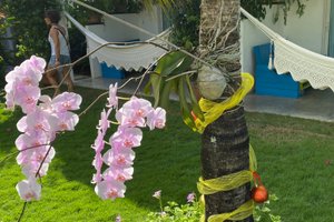 Piscina y playa