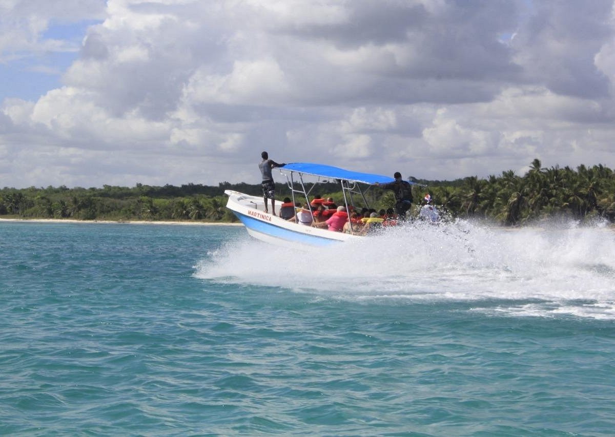 punta cana tours reviews