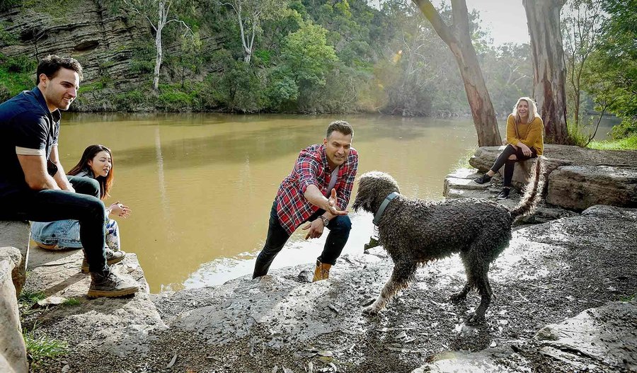 Time with friends, Yarra Bend Park