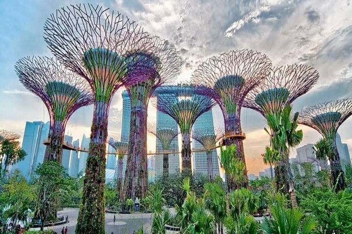 2024 Singapore Singapore Marina Bay Sands And Singapore Zoo Combo   Caption 