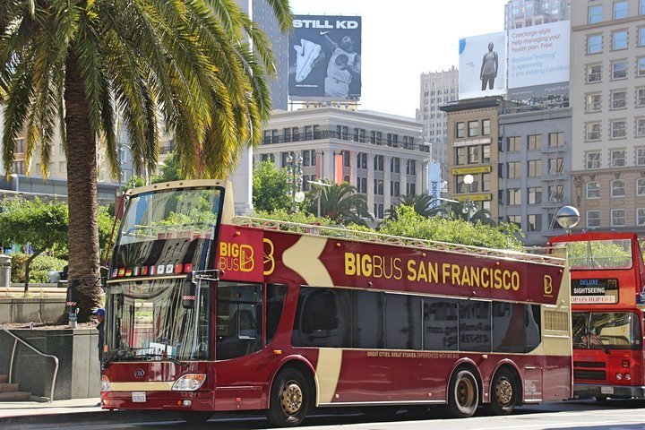 2024 San Francisco Special : Noteworthy and San Fransisco Hop-On Hop ...