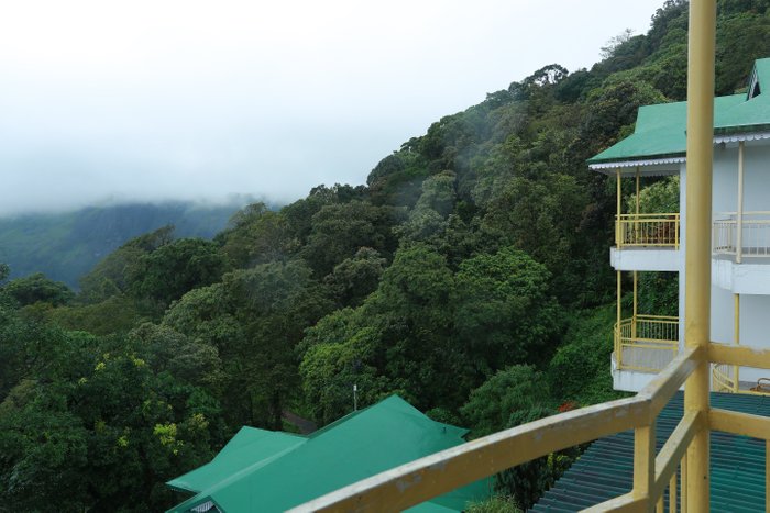 Deshadan Mountain Resort Munnar: A Serene Escape in Nature's Lap