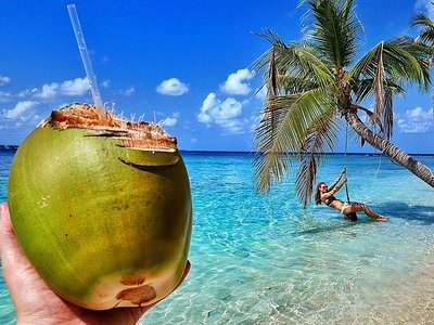nature tours in panama