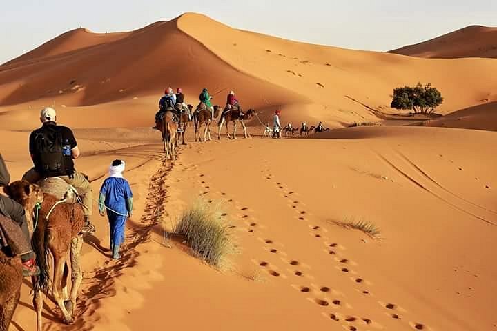trips desert marrakech