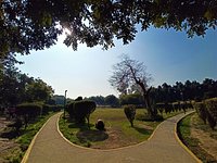 are dogs allowed in nehru park delhi