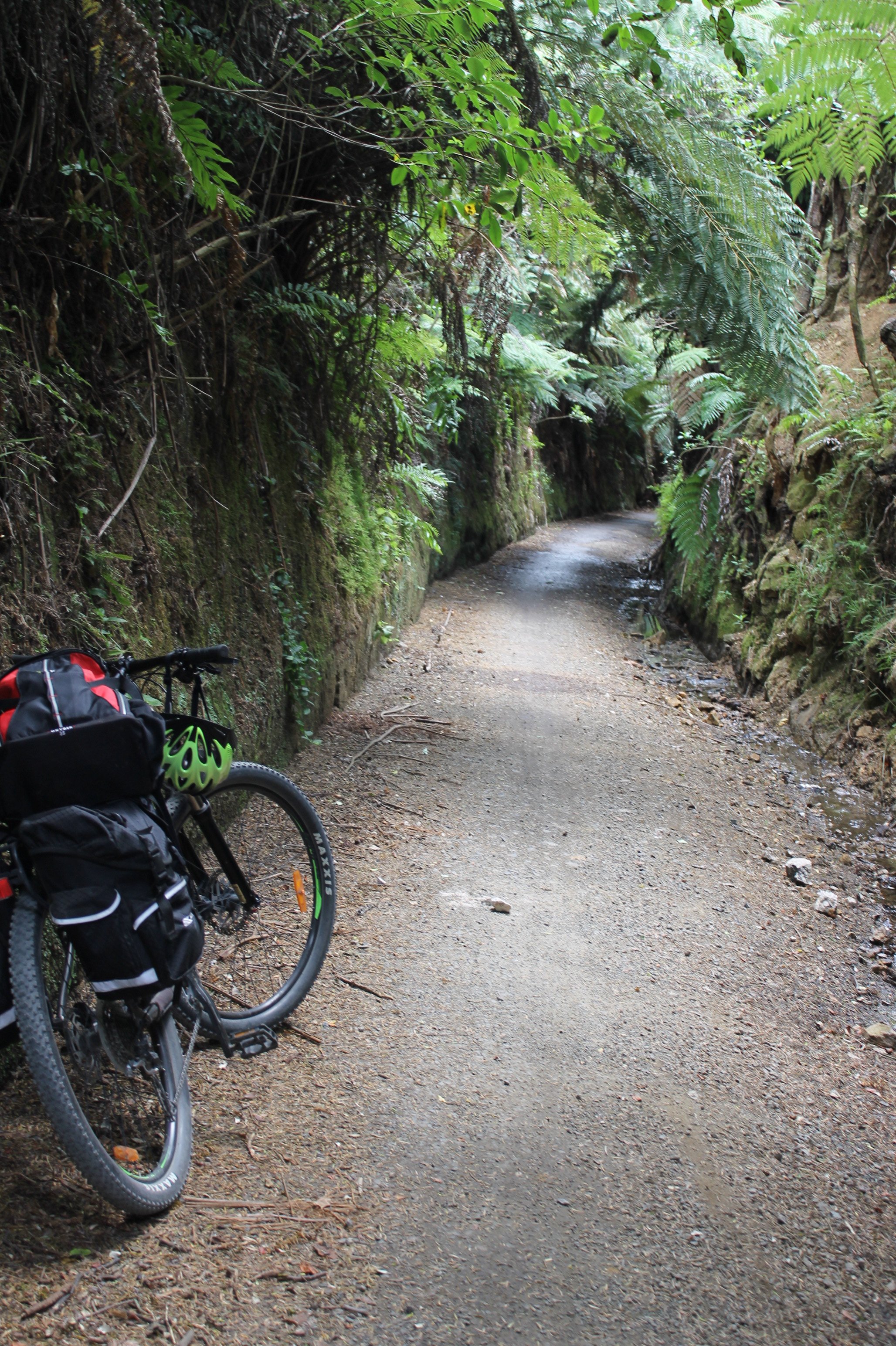 Hauraki Rail Trail (Paeroa) - All You Need To Know BEFORE You Go