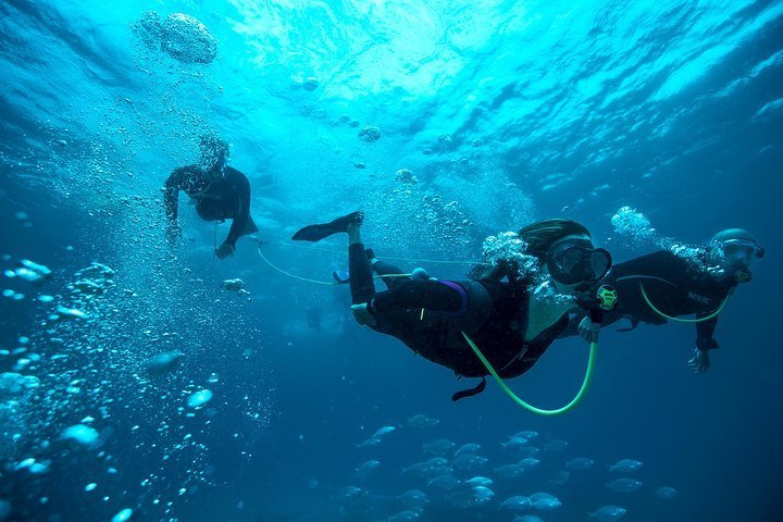 Tripadvisor | Fuerteventura: Buceo Snorkel Isla De Lobos ofrecido por  FuerteCharter | España