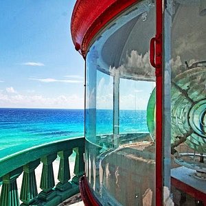 carnival cruise dolphin excursions cozumel