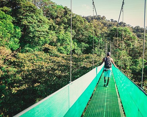 Monteverde Tree Climbing Experience