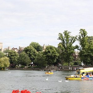 duck tour london website
