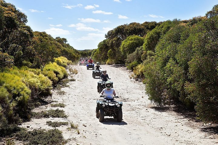 quad bike tours south australia