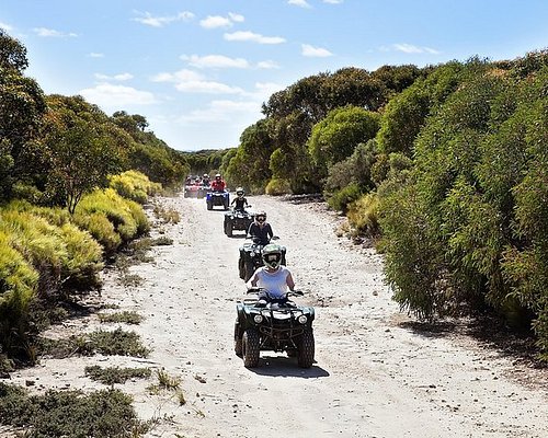 scenic tours south australia