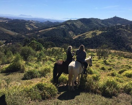 Percurso a cavalo em La Mata 1 hora preço desde 15€ 