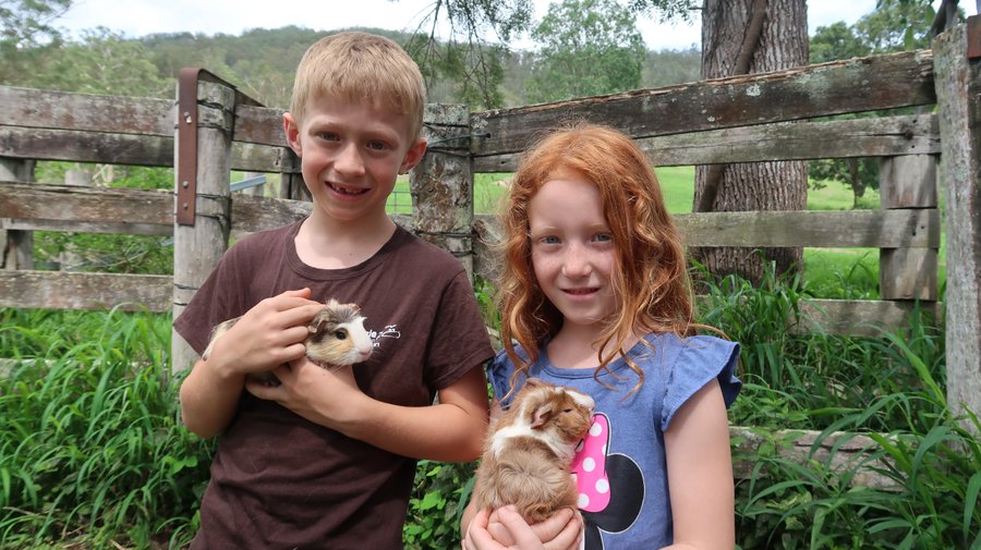 Cuddle a floof in Guinea Pig Parade