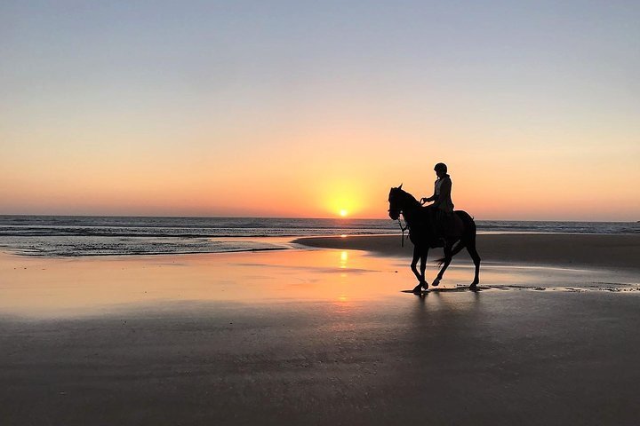 cheval au lever du soleil